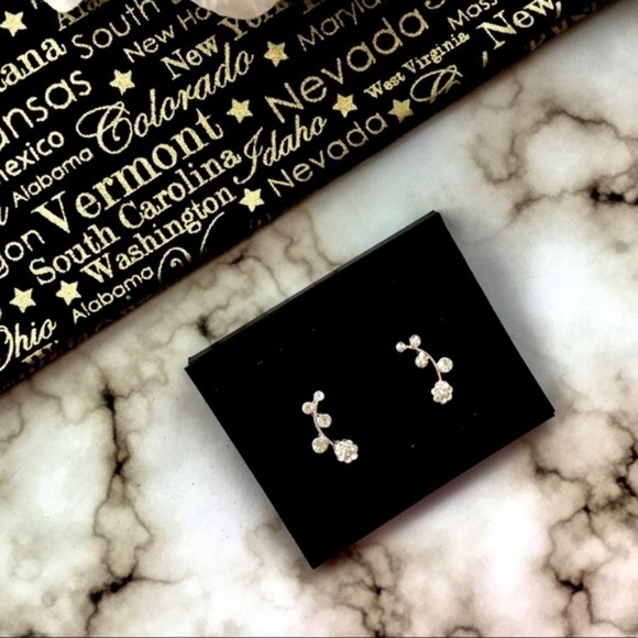 Hypoallergenic‎ Crawling Earring Silver Color NWT - Picture 2 of 5